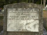 image of grave number 720036